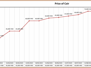 High increase of the price of coir