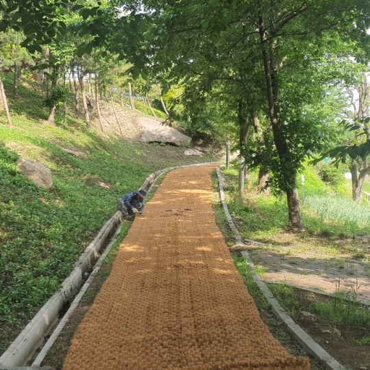 COIR MAT