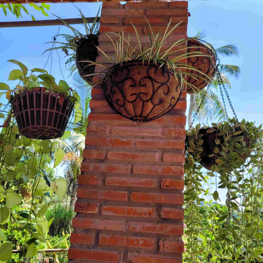 COCO LINER BASKET